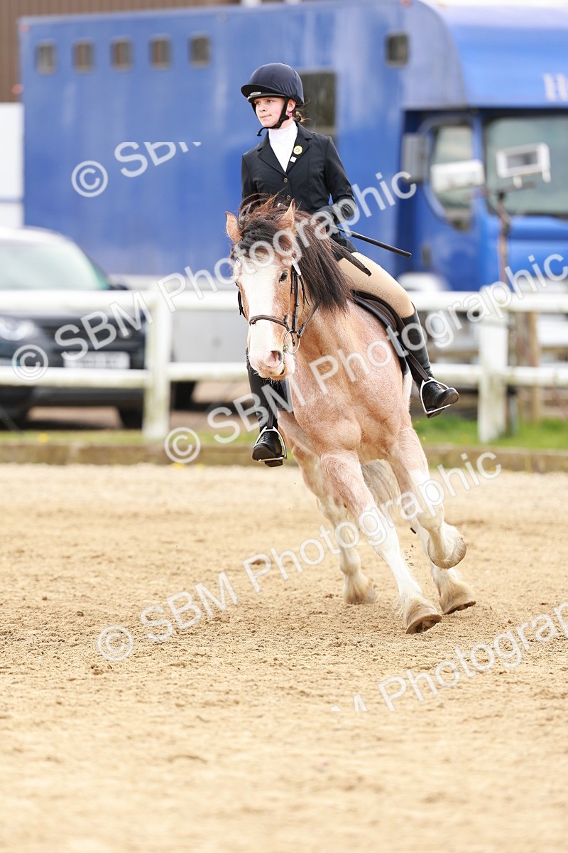 SBM_004190 - Class 3 - 60cm