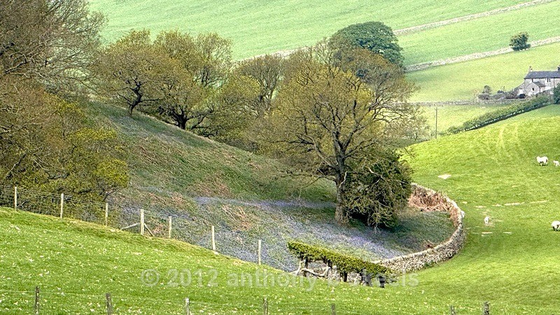 013 The view from  Ladies Riggs - York Minster Walkers Collection 2026