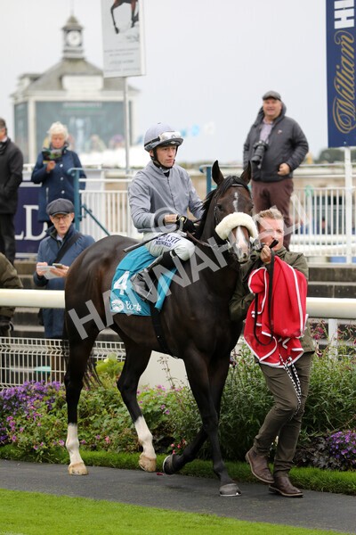 yr07102022r1-3 - Race 1 2.05pm Parsonage Hotel and Cloisters Spa Stakes