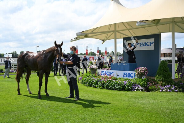 yr11062021r3-55 - Race 3 2.55pm SKF Rous Selling Stakes