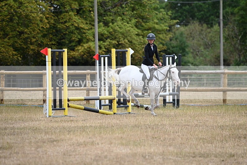 WJ6_0277 - Class 13 Novice Jumping 60cm