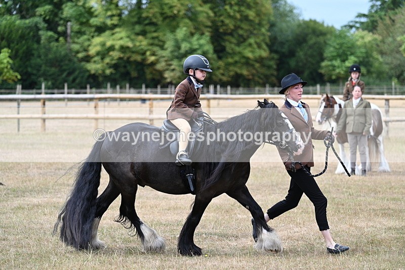 WJ7_6700 - Class 1 Lead Rein Pony