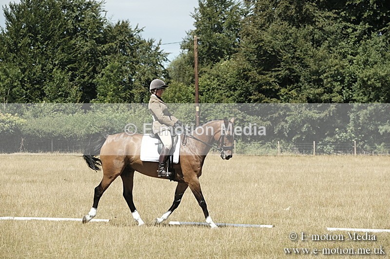 _PJP5877 - Dressage Classes BVRC Show 2018