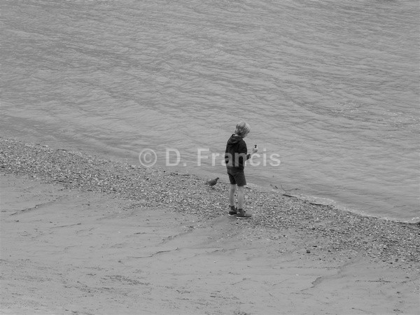 Boy & Pigeon, Thames Beach (b&w) - By The Thames