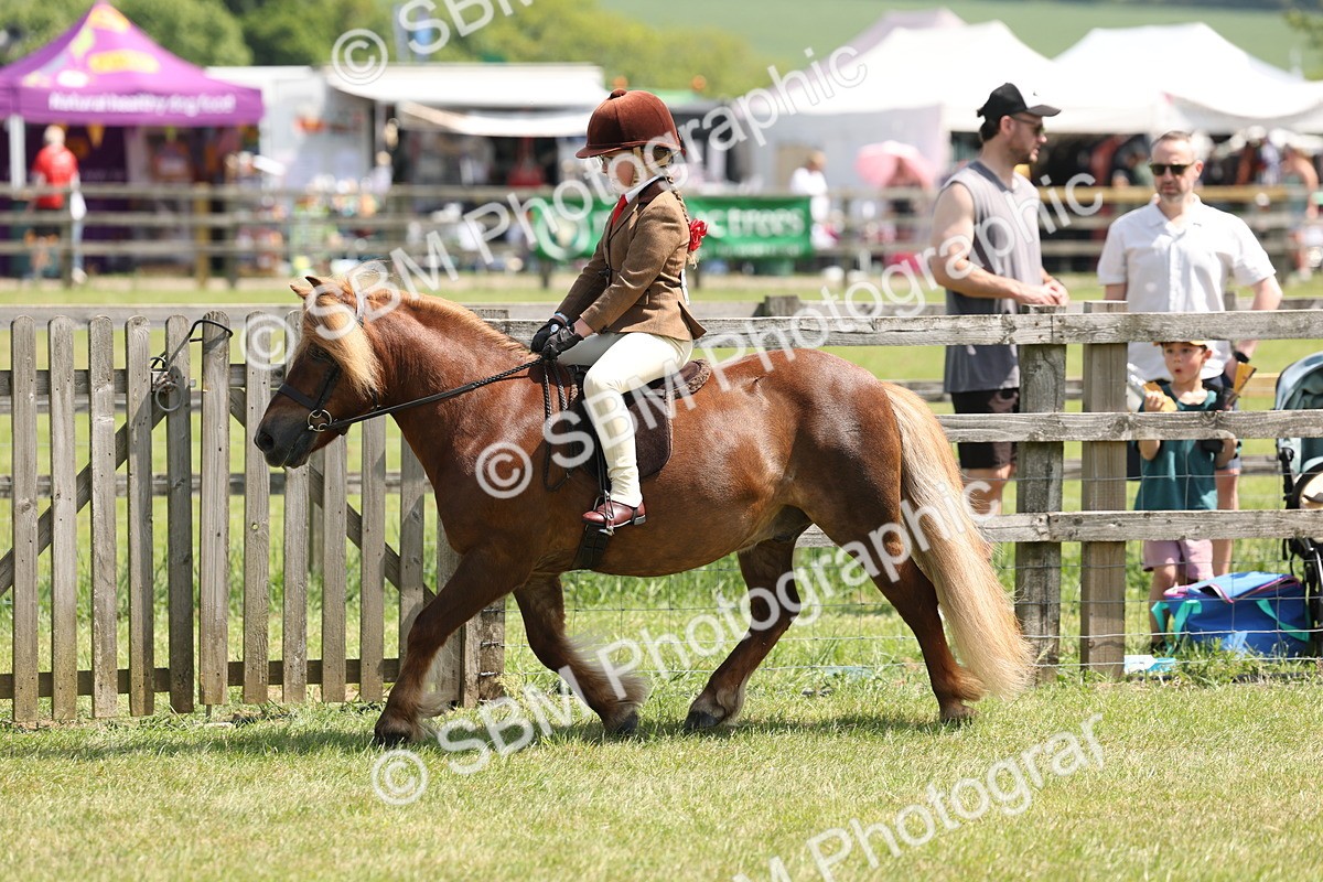 SBM_05335 - Class 24-25 - Mountain & Moorland In Hand Lead Rein and First Ridden