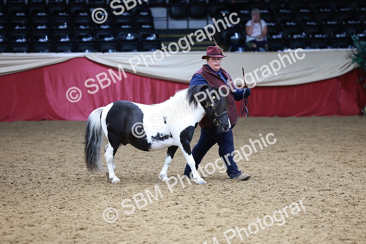 SBM_17326 - Class 951 - M&M IH Supreme Final