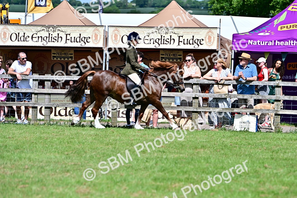 SBM_07950 - Class 61-62 - TSR  M&M Ridden Amateur of the Year