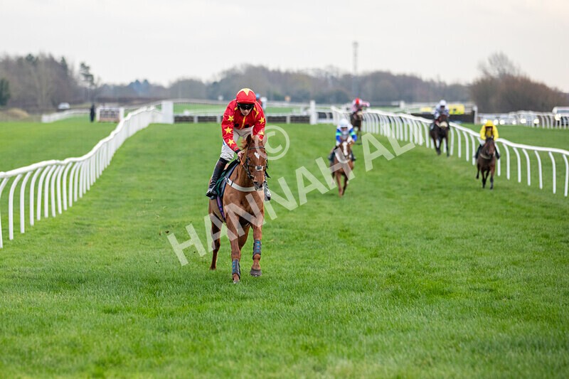 171224-Race 4-Wise Eagle-0201 - Race 4