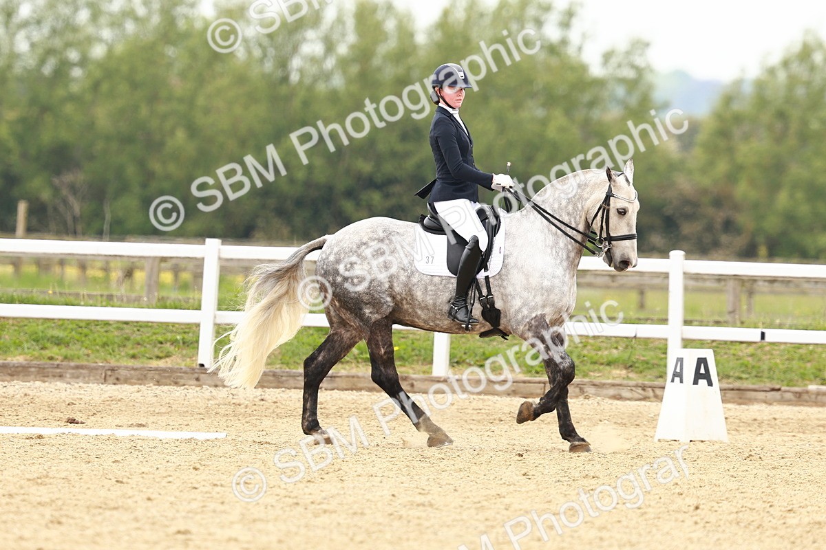 SBM_002562 - Class 12 - Medium 4