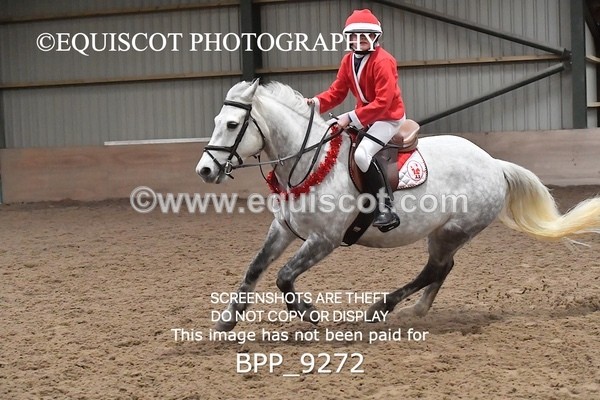 BPP_9272 - CLASS 5 60CM Progressive Show Jumping