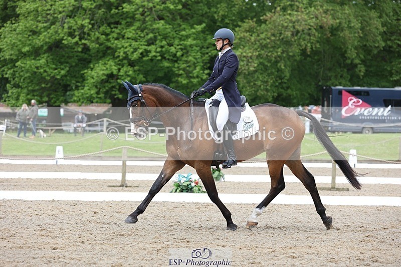 240523-104148-03376 - 214-DSH_GOLDEN_EYE-Lucinda_Mesquita