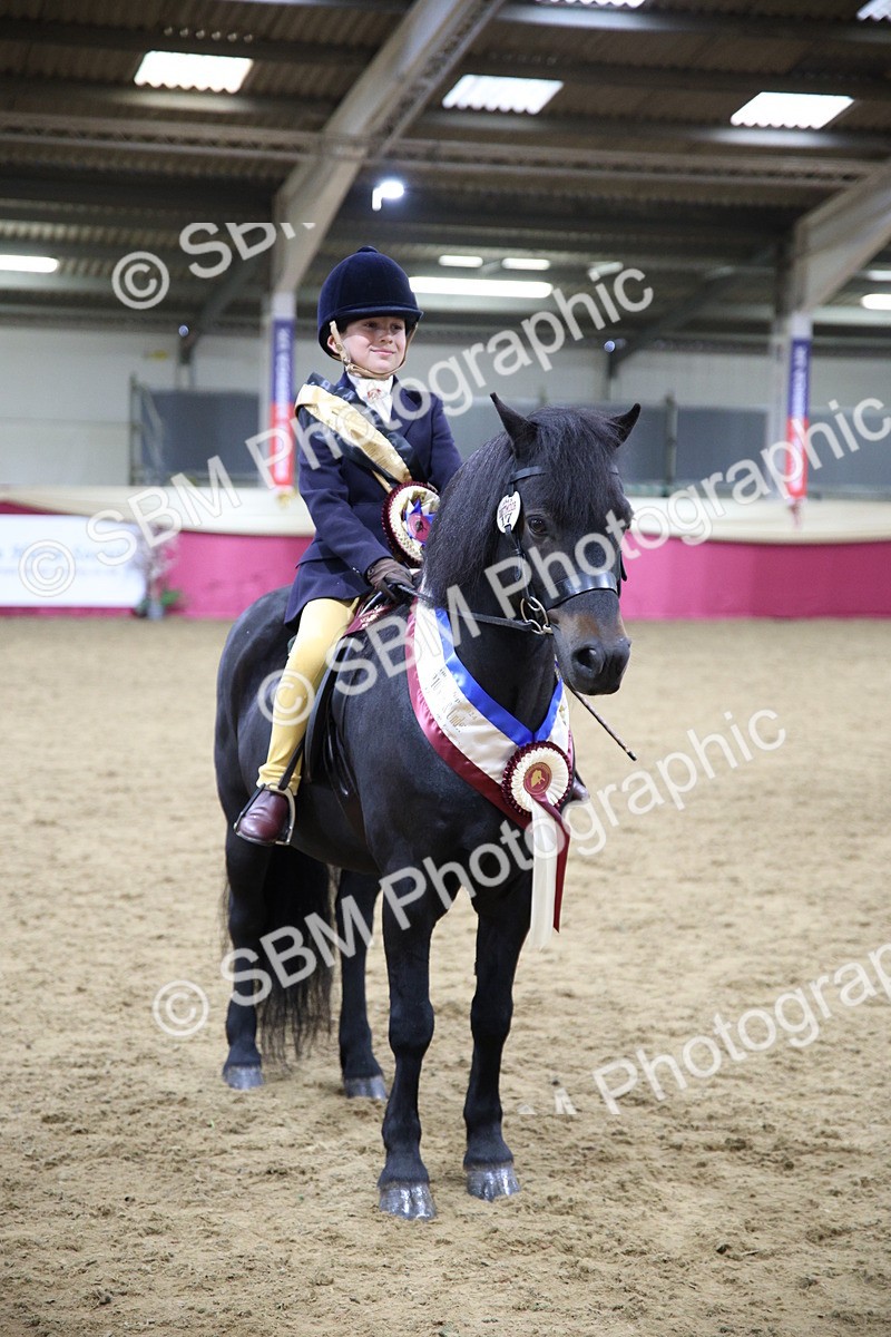 SBM_19056 - Class G Ridden Pony Champ