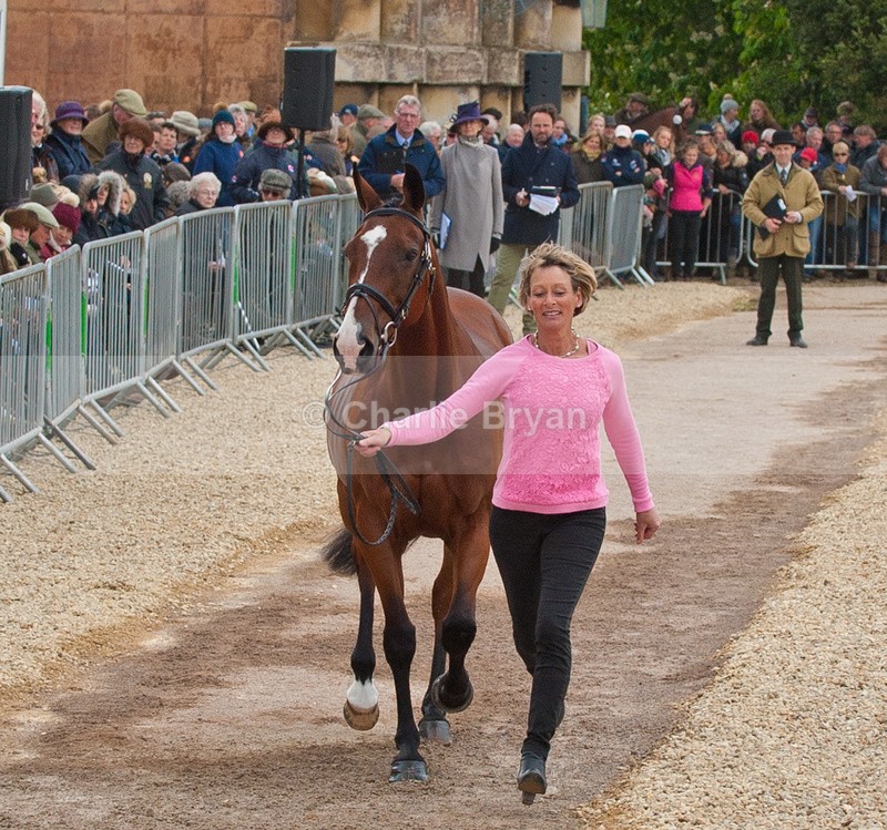  - Mitsubishi 2015 Badminton Horse Trials
