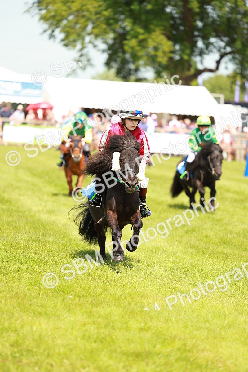 SBM_04830 - Shetland Grand National