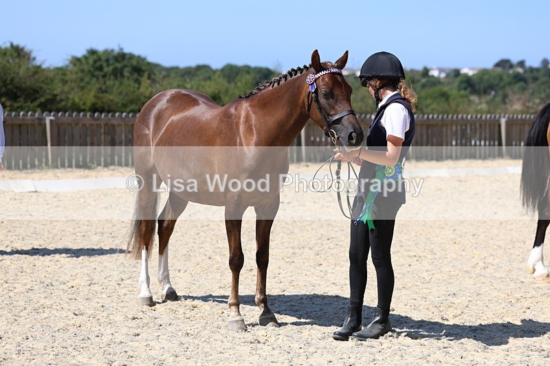 3E7A9908 - In Hand Championship