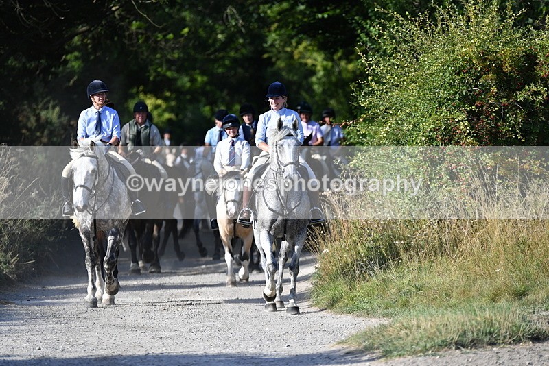 WJ5_4875 - Walk out with the hounds