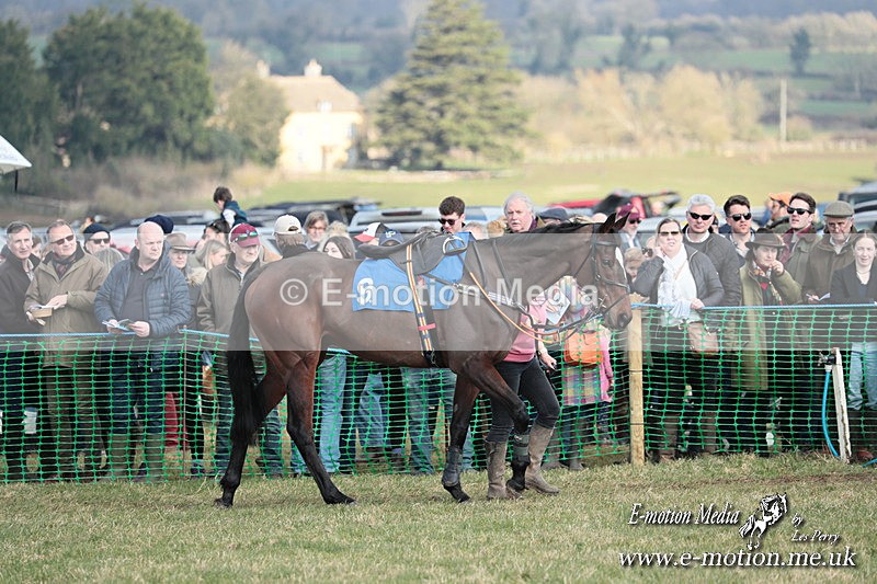 PtP 010325 162 - Beaufort Races Didmarton 01/03/25