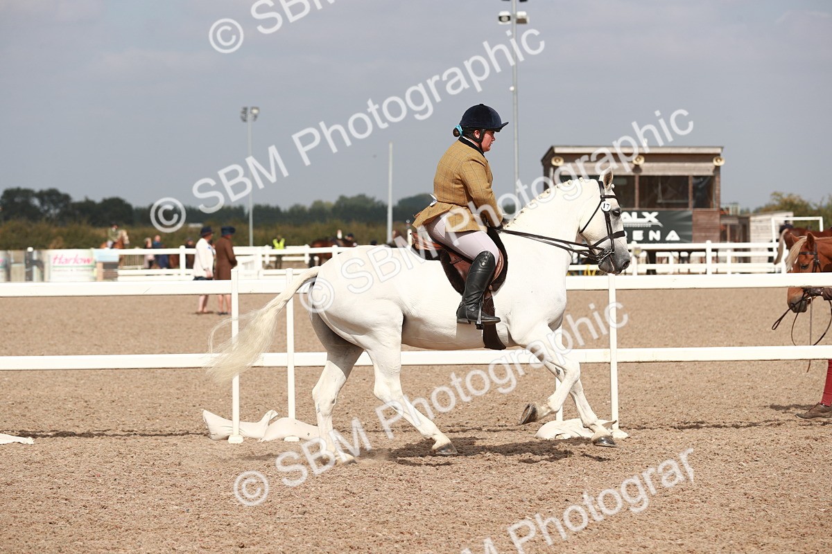 SBM_14823 - Class 212 Ridden Hunter - Small