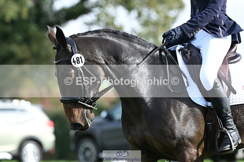 231020-115050-07924 - 481-DUKES.VISION-Abi.Stuart-DR