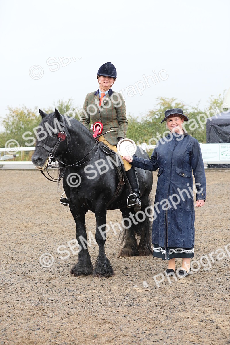 SBM_20629 - Class 804 - Ridden Veteran Pony