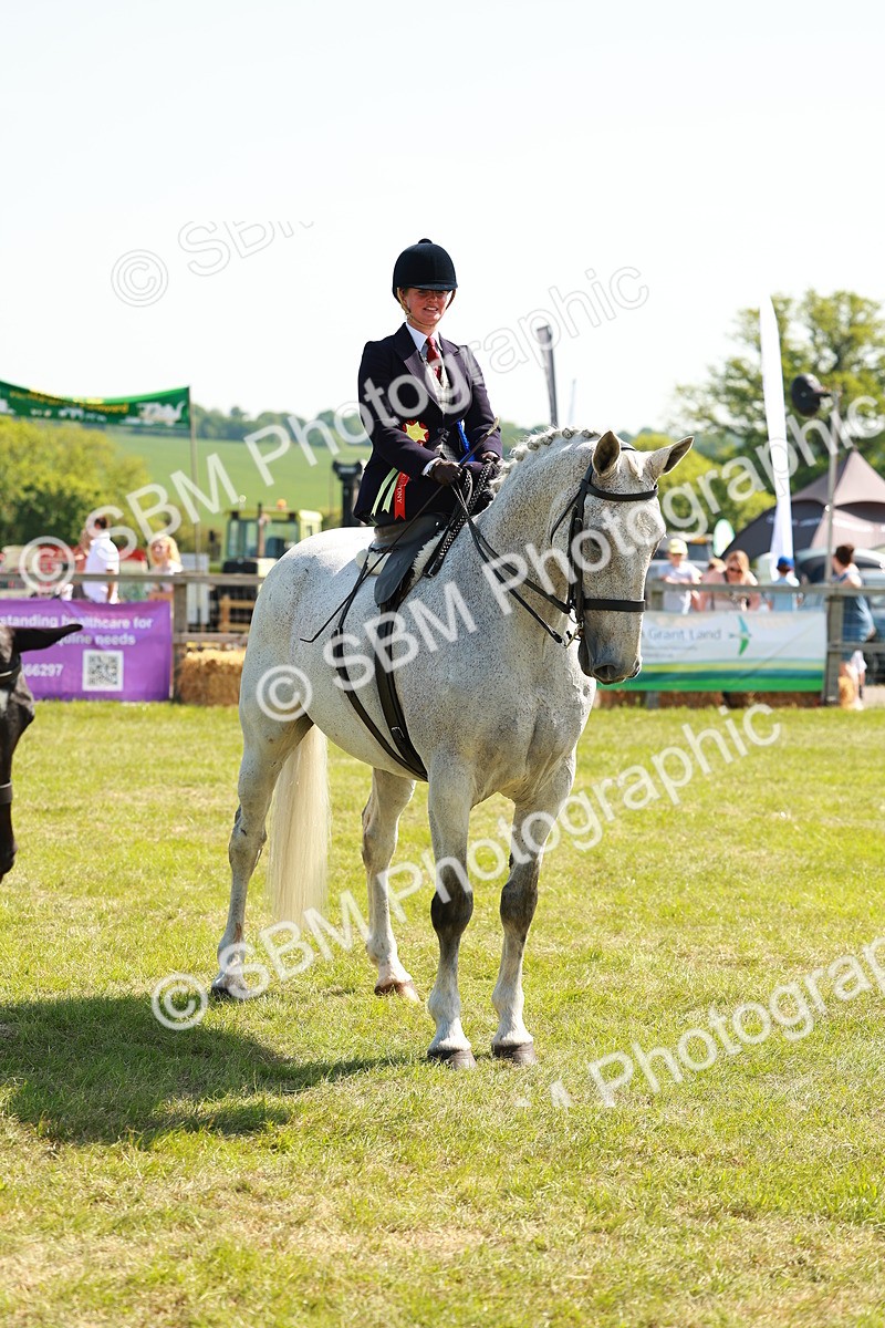 SBM_13407 - Class 70-71 - Side Saddle