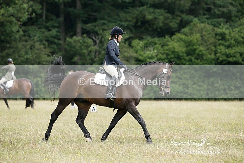 BVRC 030721 419 - Bourne Valley Riding Club Dressage 03/07/21
