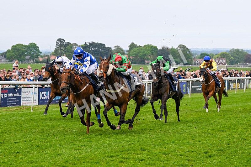 060524-Race 5-Original Thinker-6933 - Race 5