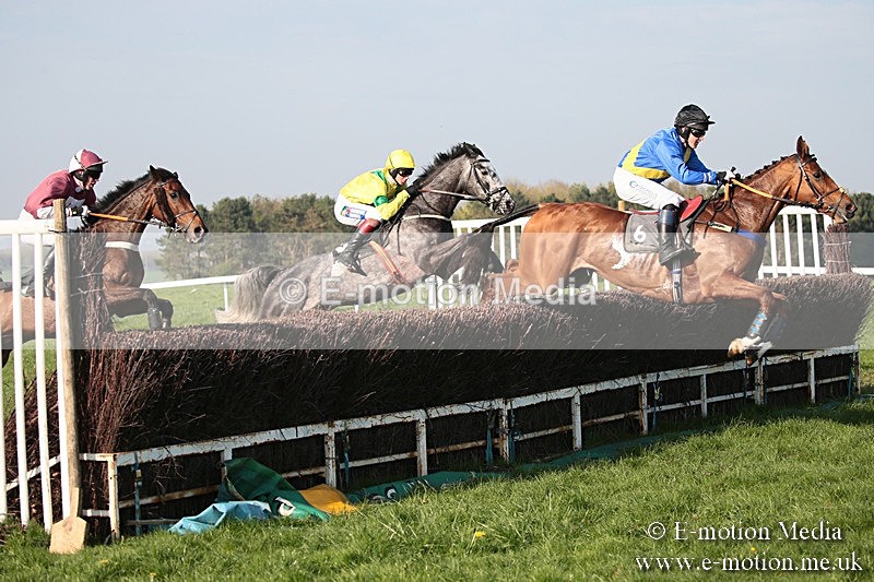 PtP 210418 610 - South & West Wilts Point-to-Point Larkhill 21/04/18