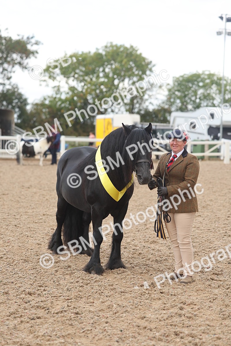 SBM_03298 - Class 16 - IH M&M Wildcard