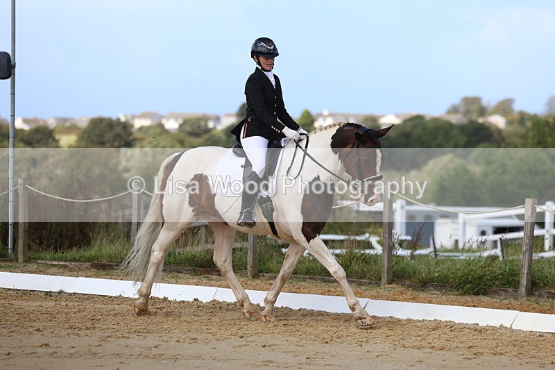 3E7A4172 - Class 9: Novice 6 Section B Championship