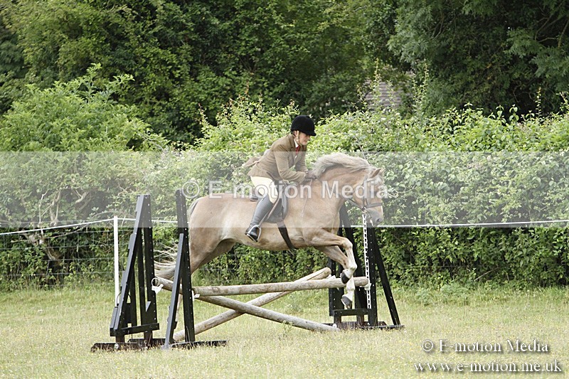 BVR160717-129 - Ring 3 BVRC Show 16/07/17