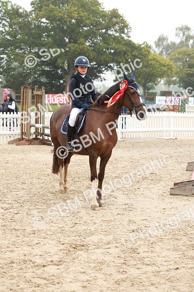 SBM_73589 - Supreme Championship Junior Pony 60cm & 65cm