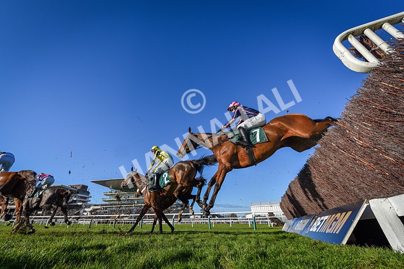141224-Race 2-Beachcomber-9288 - Race 2