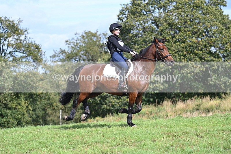 WJ7_1902 - Time 13:17 to 13:53