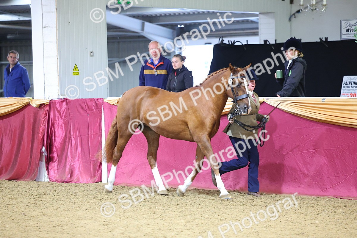 SBM_19364 - Class 901 - Supreme Final - IH Diamond