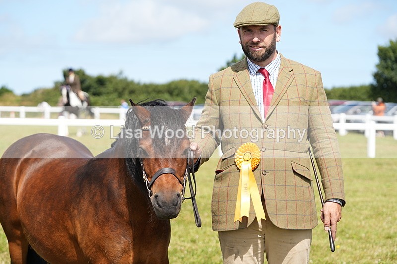 DSC05629 - Class 50: NPS M&M 4 years and over Small Breeds