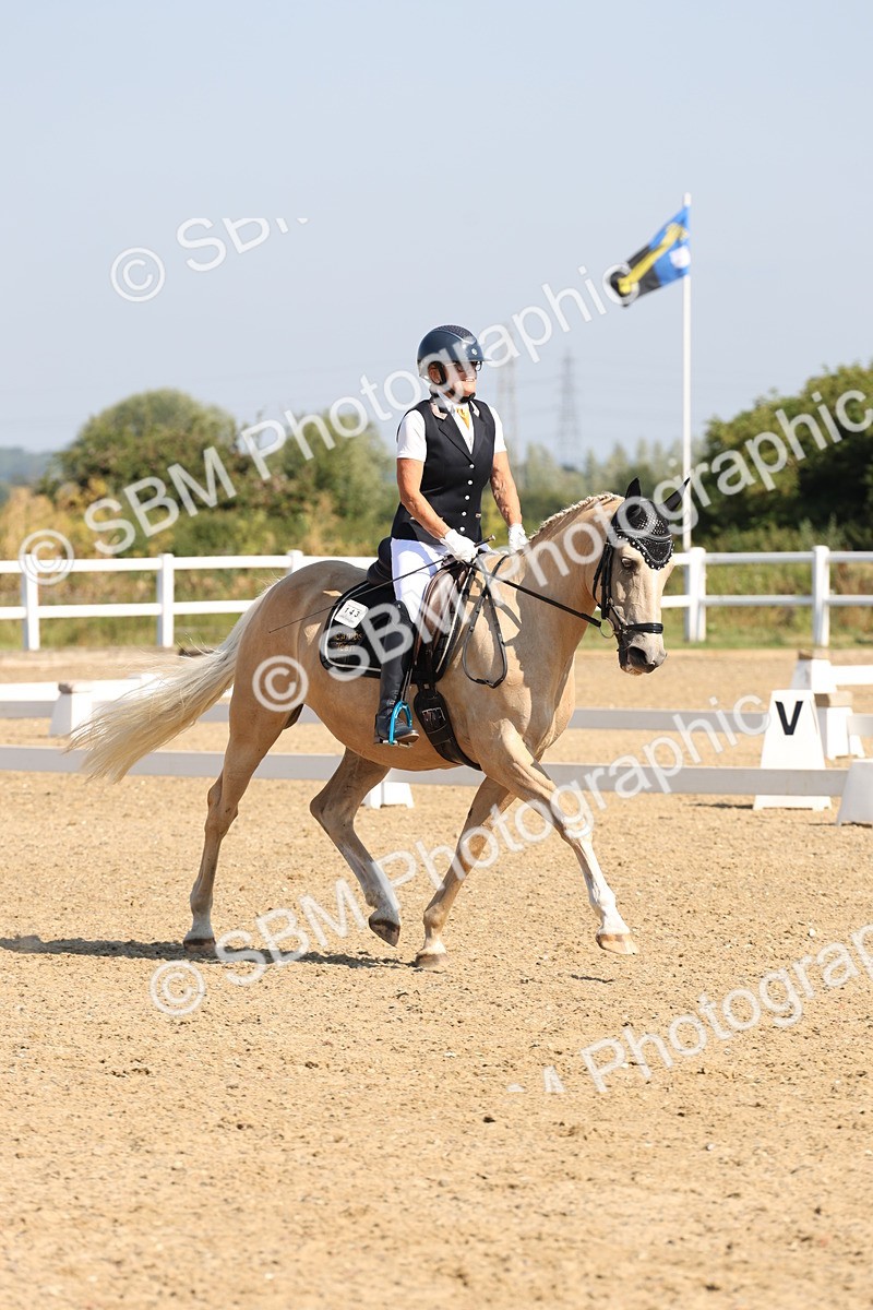 SBM_003015 - Prelim 4 - Warm Up