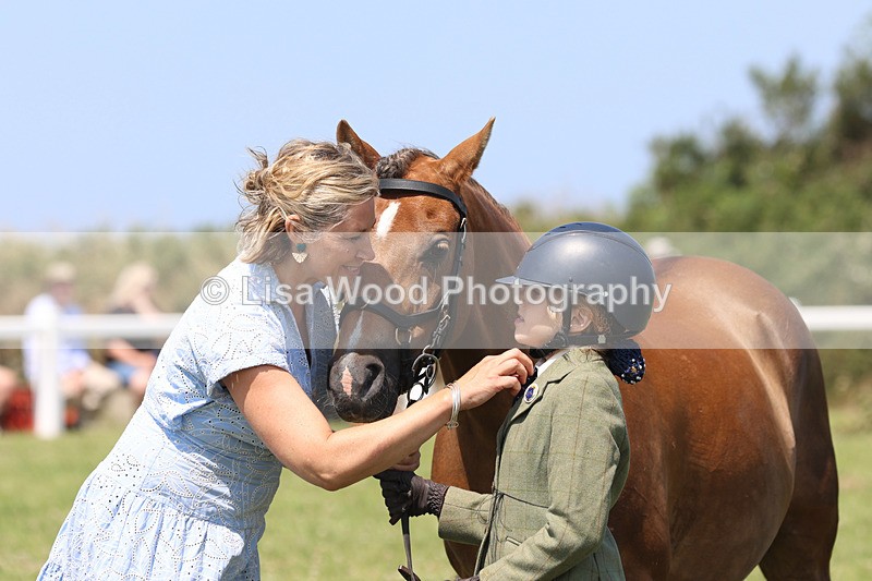 JPP_2830 - Class 21: Working Hunter 60cm