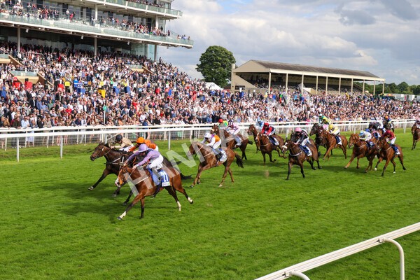 yr11062022r8-47 - Race 8 5.25pm Clean up with PPS Stakes