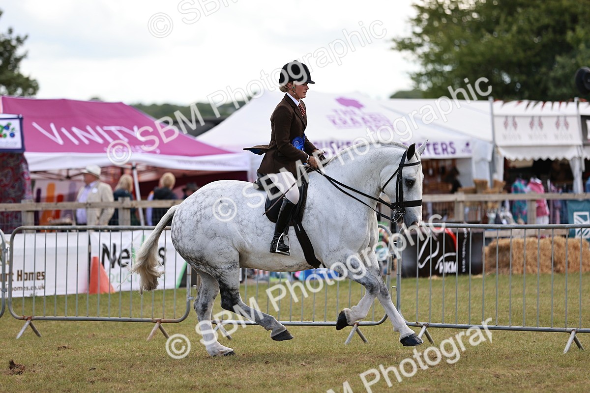 SBM_14124 - Class 85-87 - RIHS Cobs