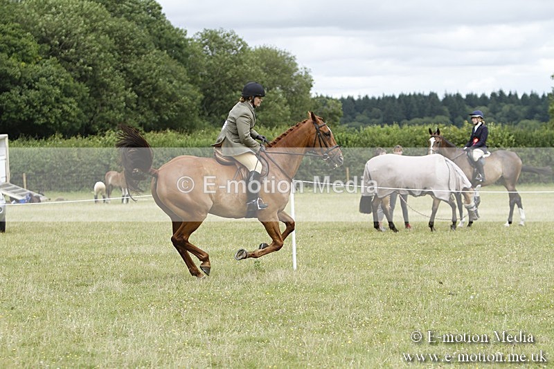 BVR160717-2242 - Ring 3 BVRC Show 16/07/17