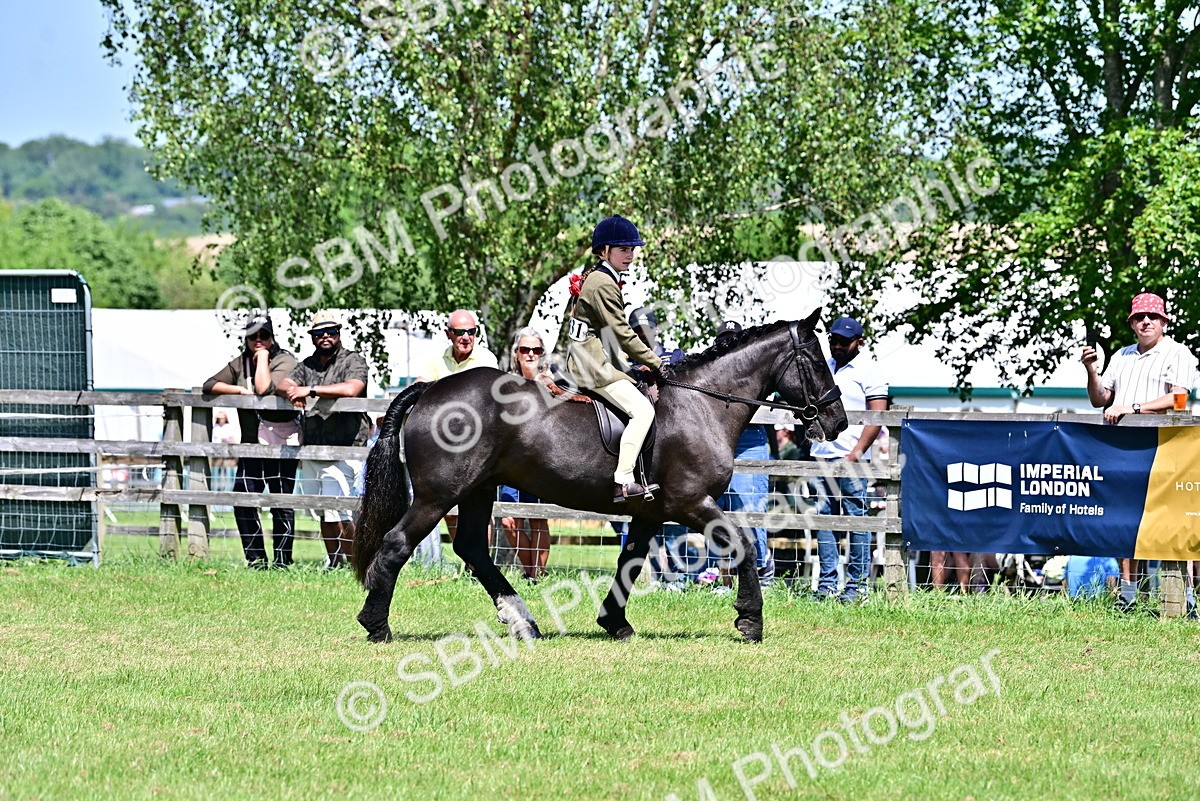 SBM_17395 - Class 95-97 - BSPS LHS Performance Ponies