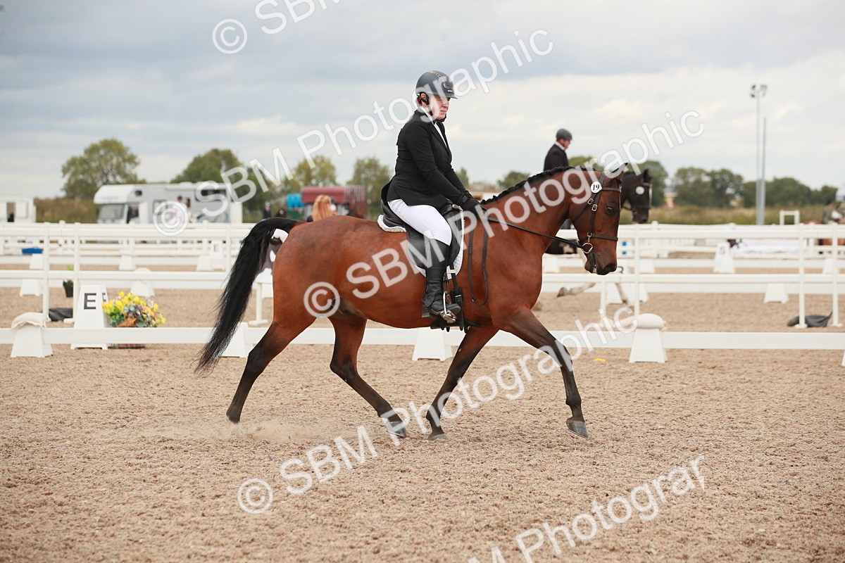 SBM_06053 - Class 32 - Novice 1