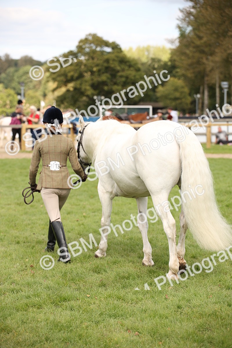 SBM_46365 - S25 - Mature Veteran In Hand