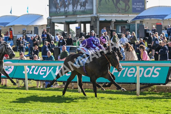 140525-Race 7-Great Bedwyn-3080 - Race 7 5.25pm Stuey Weston & Friends Getting Out Handicap