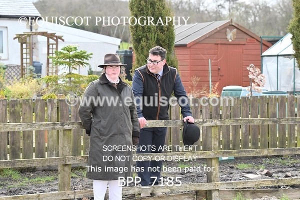 BPP_7185 - RING 1  (RIDDEN HORSES / IN HAND / VETERAN ETC)