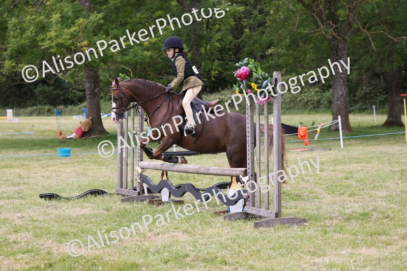 20260614-3008 - Class 22 - Open Working Hunter