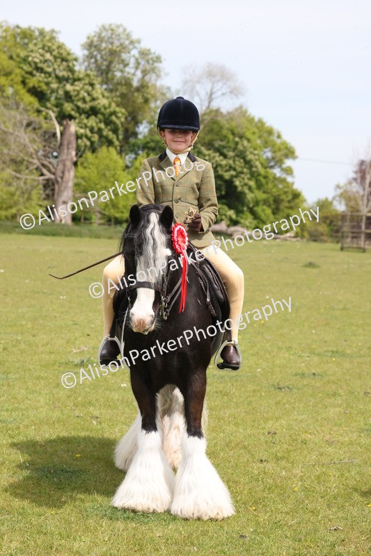 20260426-4005 - Class 33 - Best Pony 14.2hh and Under