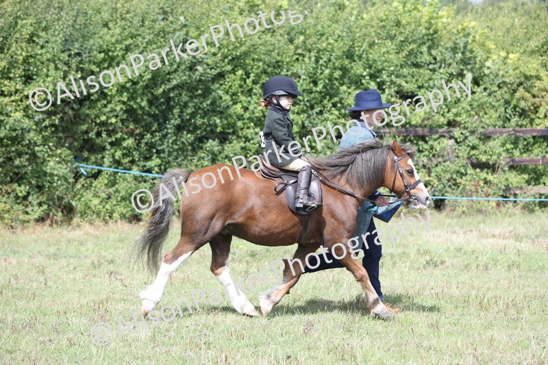 20250831-2780 - Class 17 - Lead Rein Pony