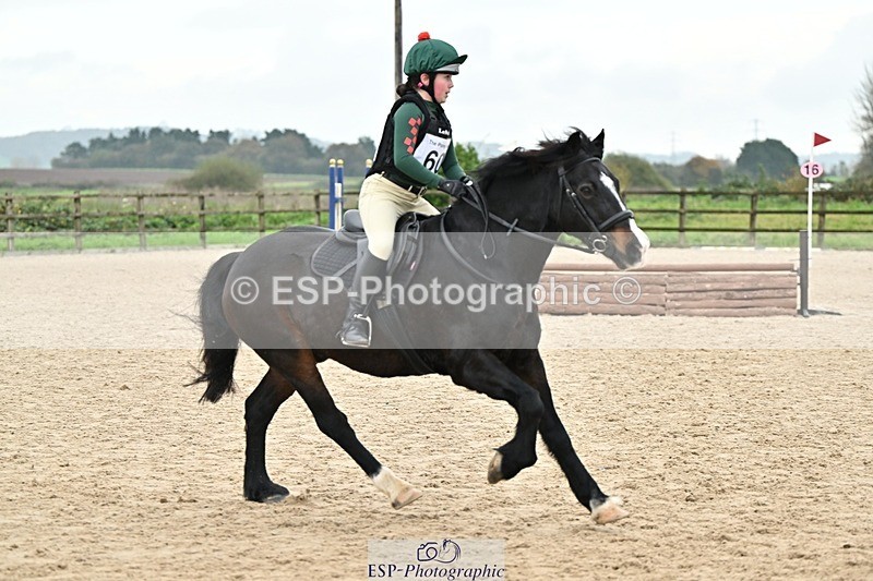 241110-140758-01039 - 60-65cm Arena Eventing